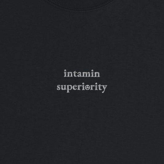 "intamin superiority" T-Shirt